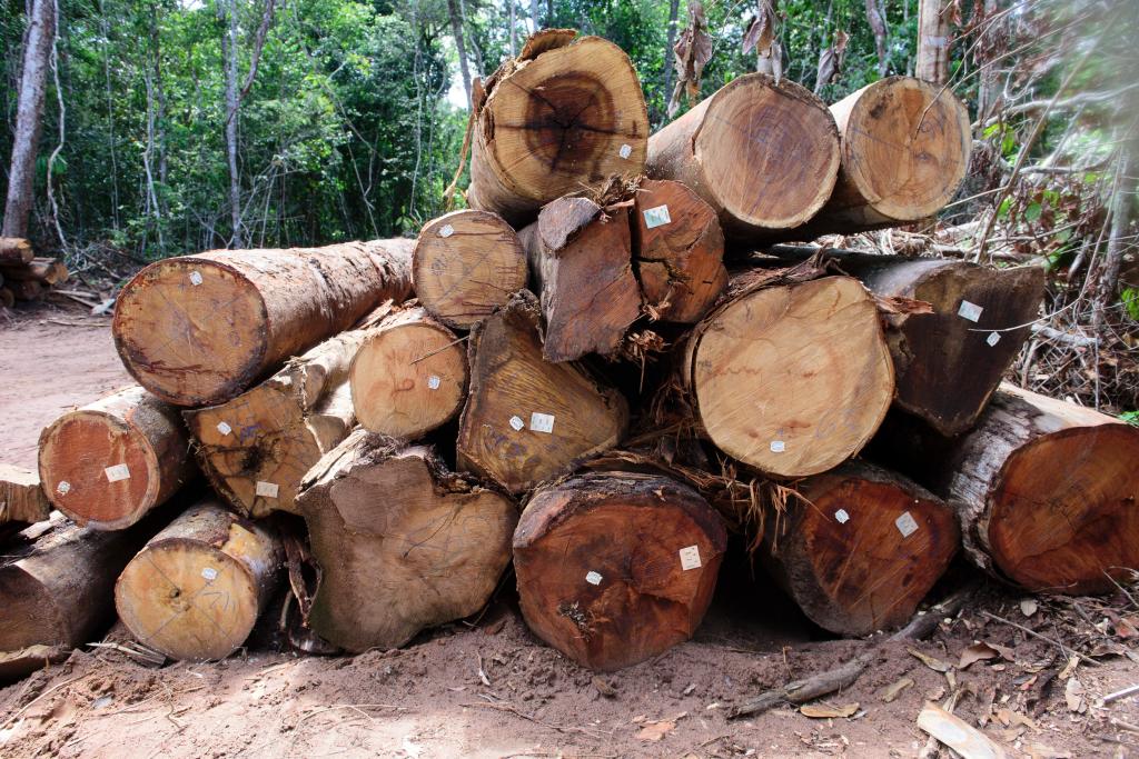 Sema-MT publica normativa que aprimora monitoramento da exploração florestal