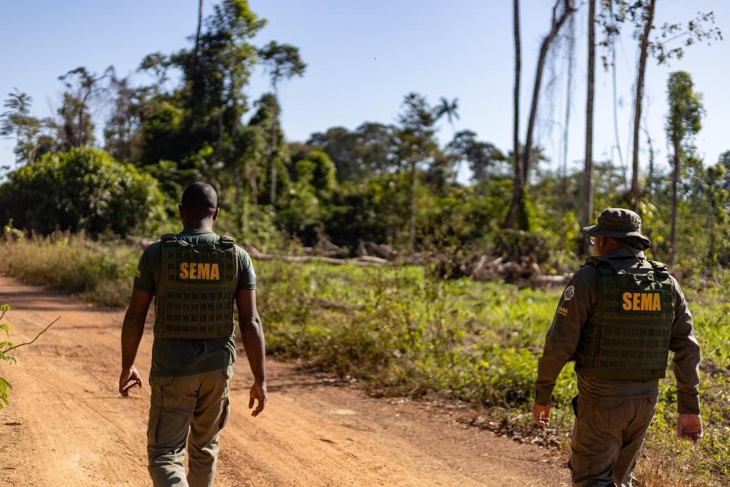 imagem sem descrição.