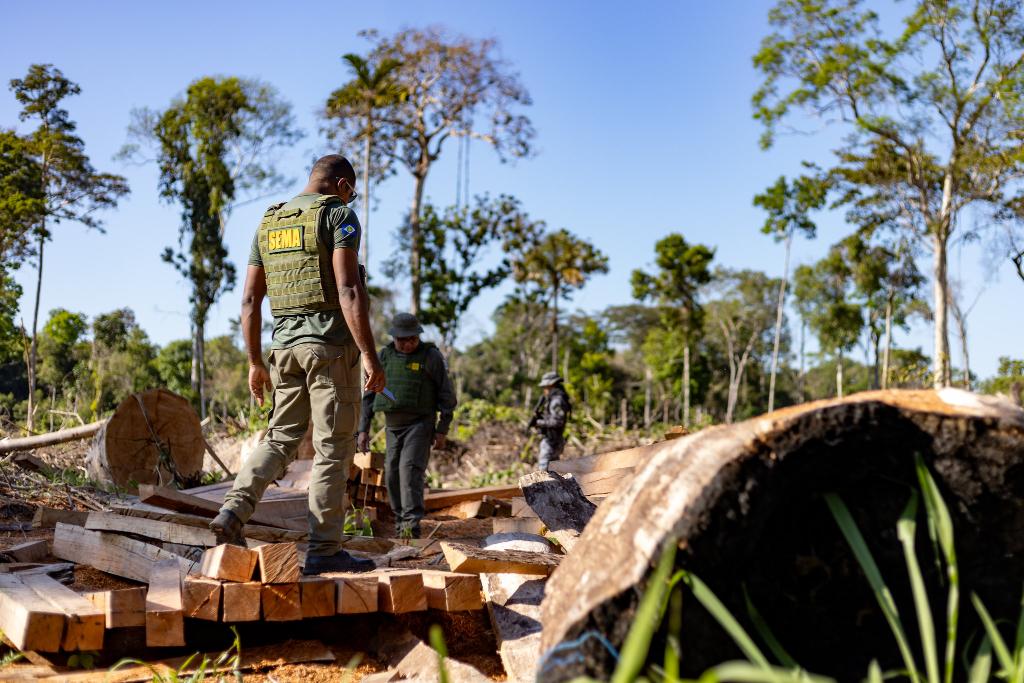 O objetivo da medida, que começou a valer a partir do dia 1º de fevereiro, é proteger o solo do impacto da retirada de madeira, principalmente no período das chuvas.  Crédito - Karla Silva/ Sema-MT