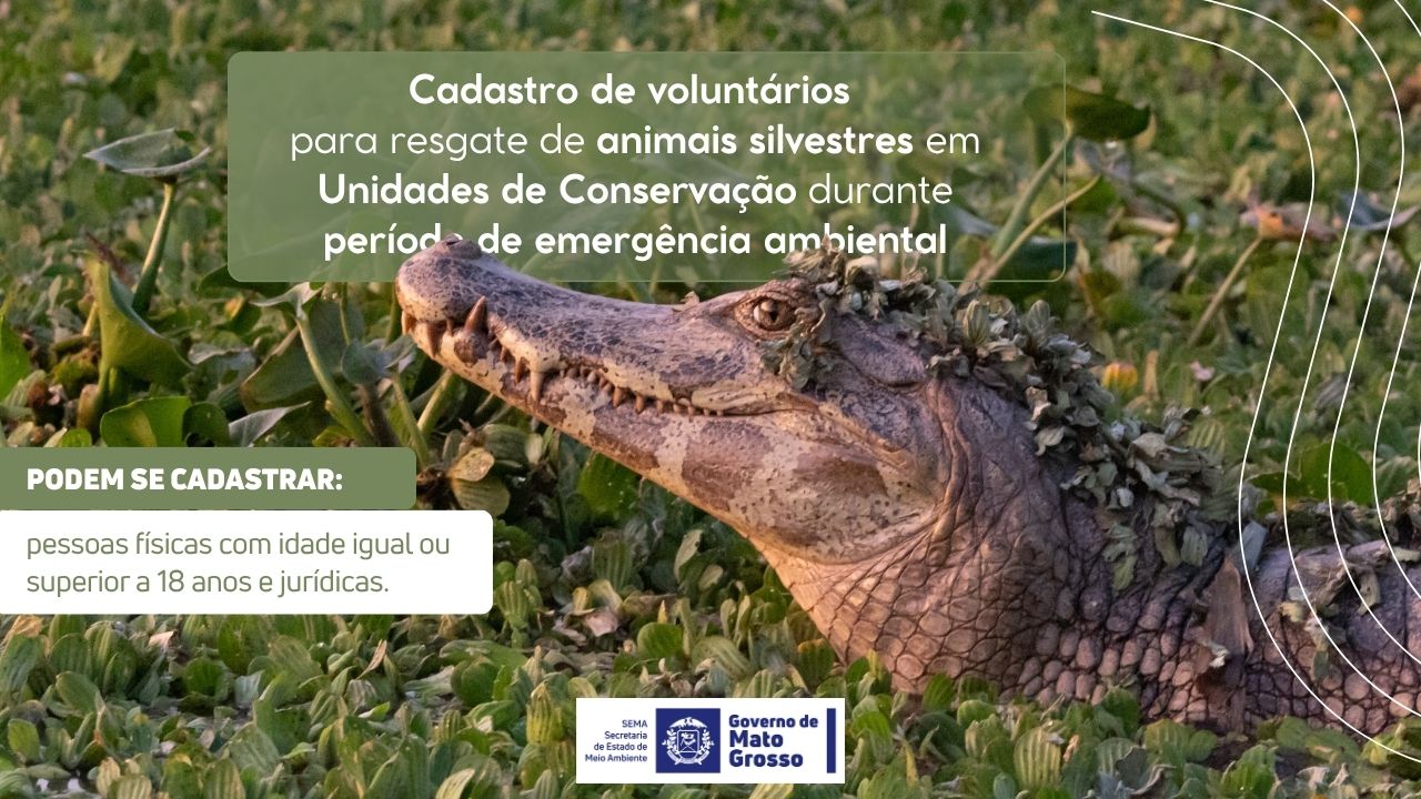Cadastro de voluntários para resgate de animais silvestres em Unidades de Conservação durante período de emergência ambiental