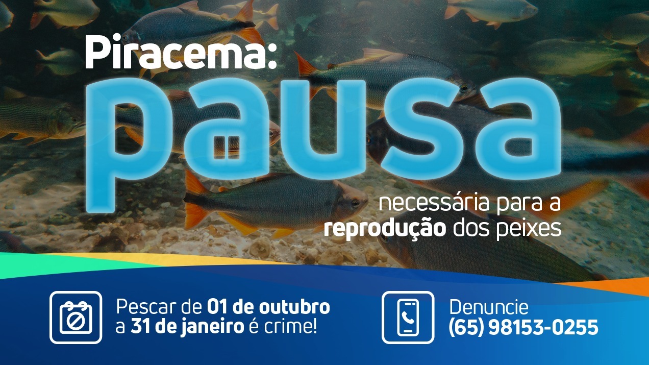 PIRACEMA