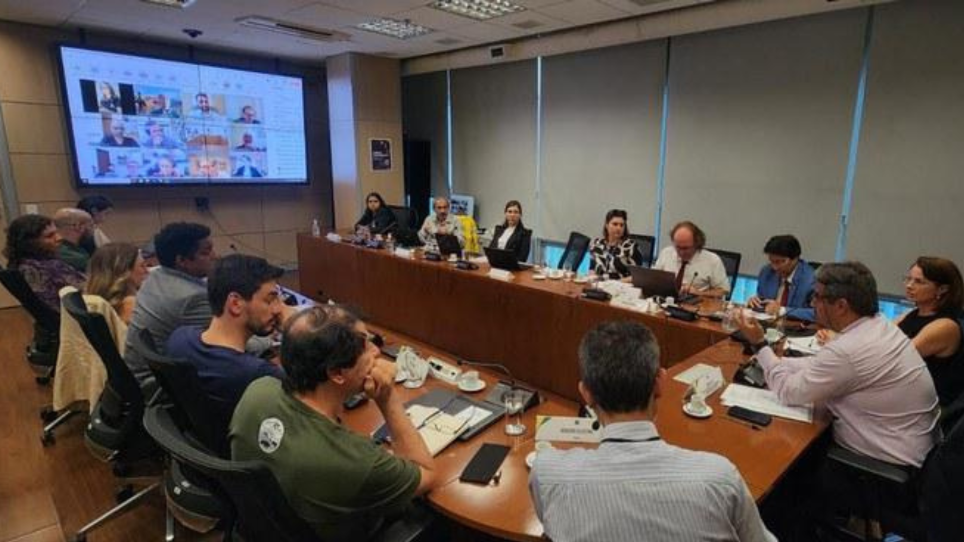 Sema assume vice-presidência em câmara técnica do Comitê Nacional de Manejo Integrado do Fogo