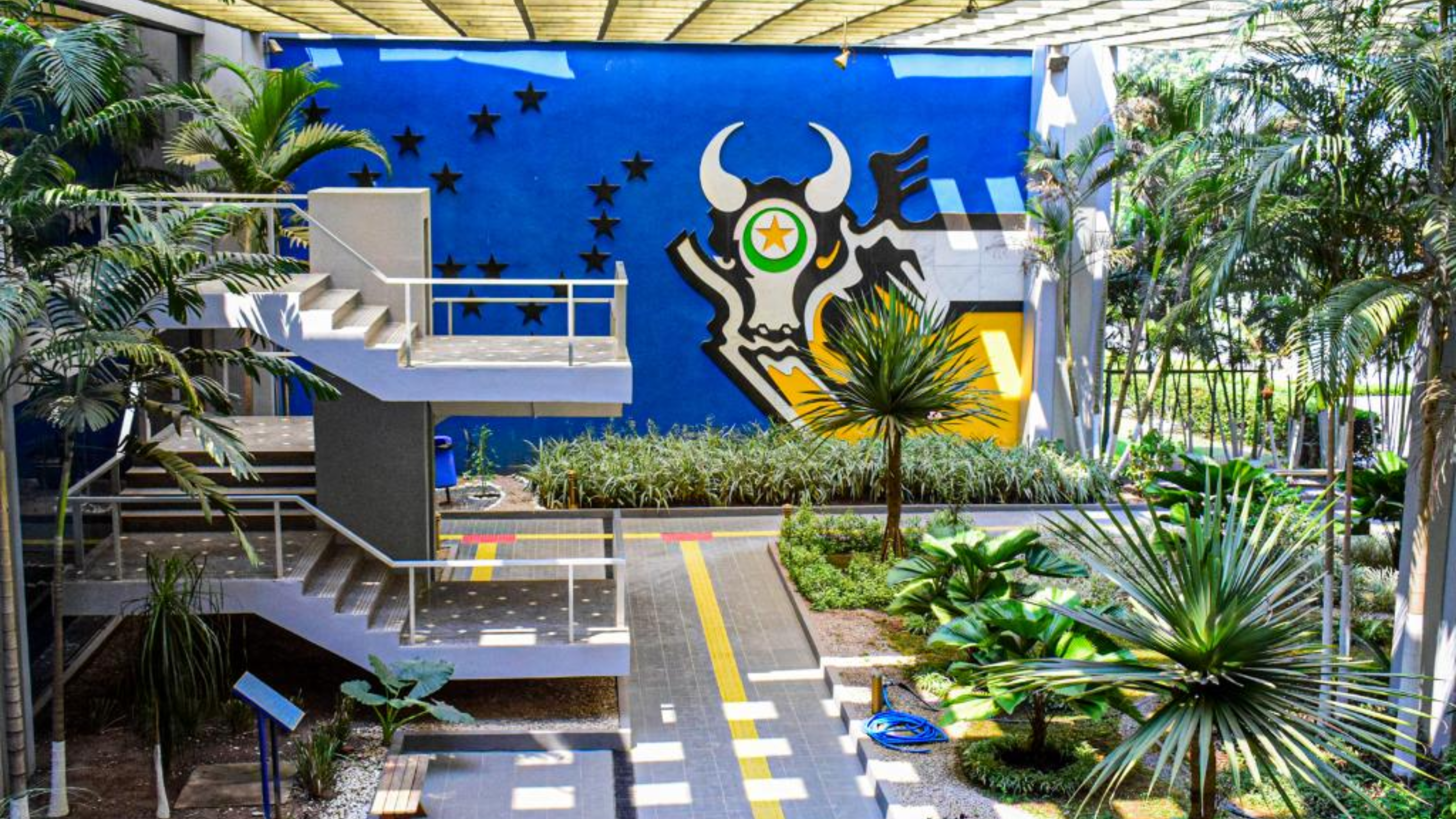 Governo de MT lança Plano de Desenvolvimento Florestal e Biomassa de Mato Grosso nesta segunda (30)