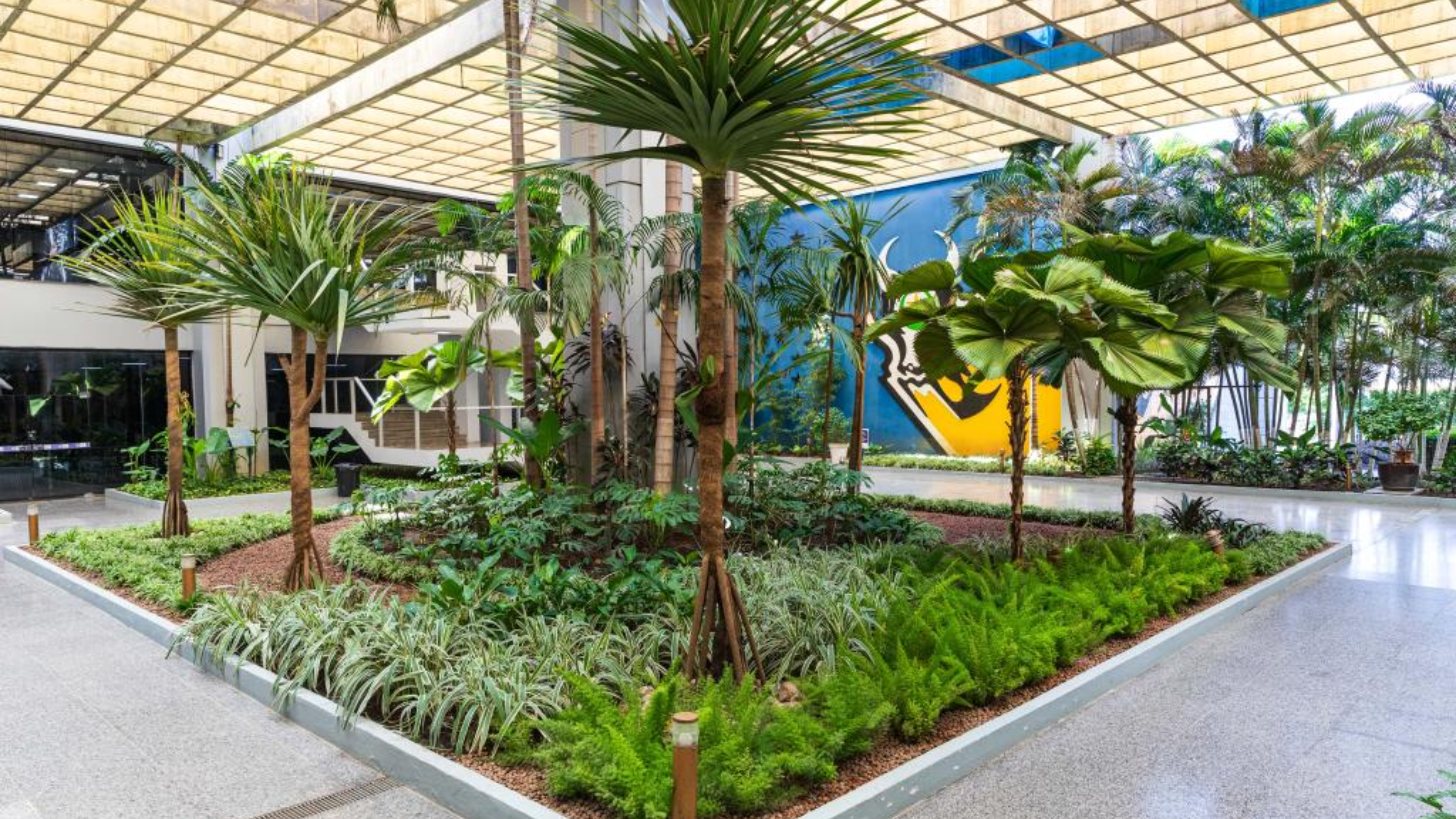 Evento em Cuiabá vai discutir desafios e soluções para agenda climática no setor agrícola