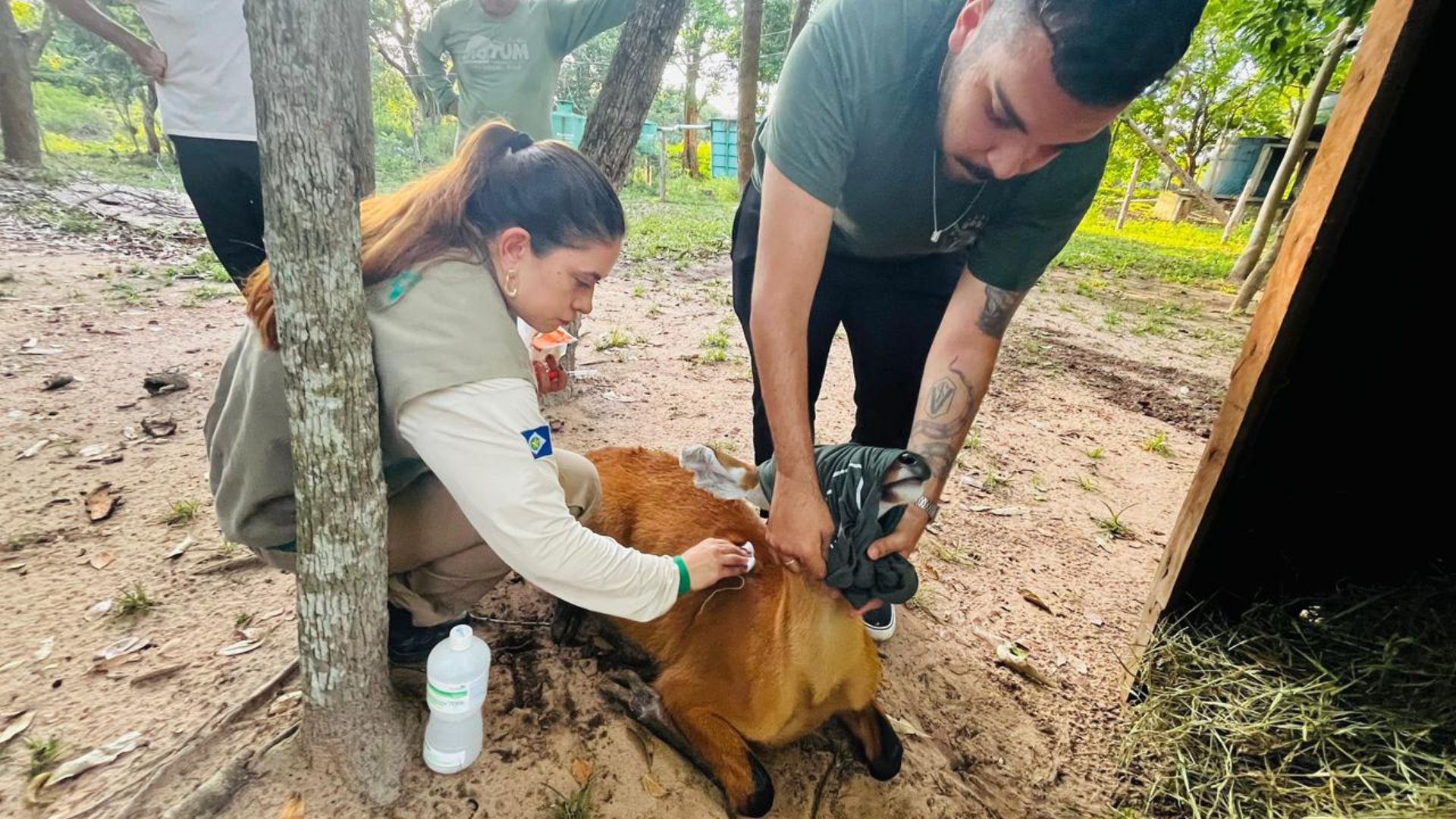 imagem sem descrição.