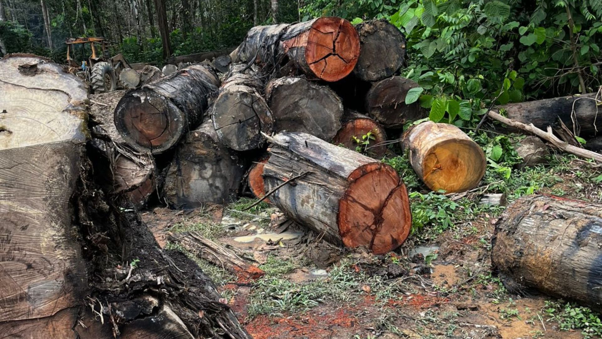 imagem sem descrição.