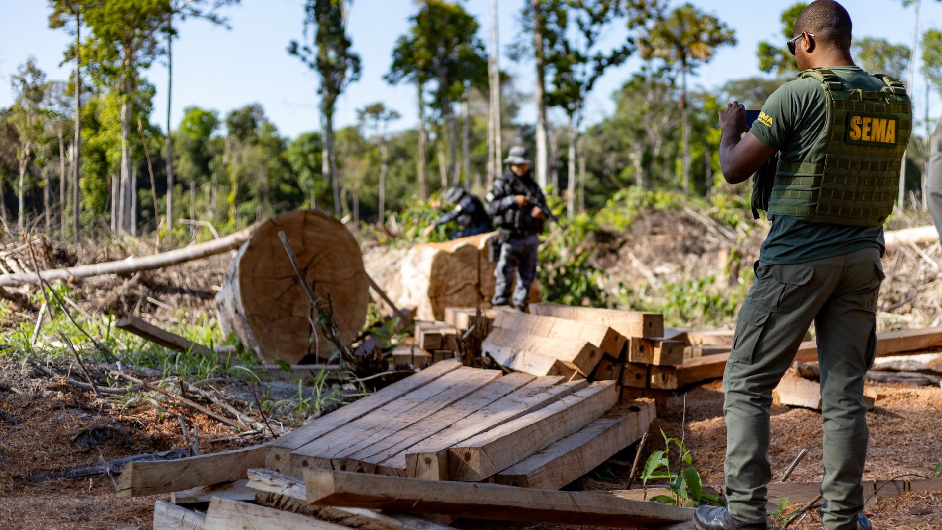 imagem sem descrição.