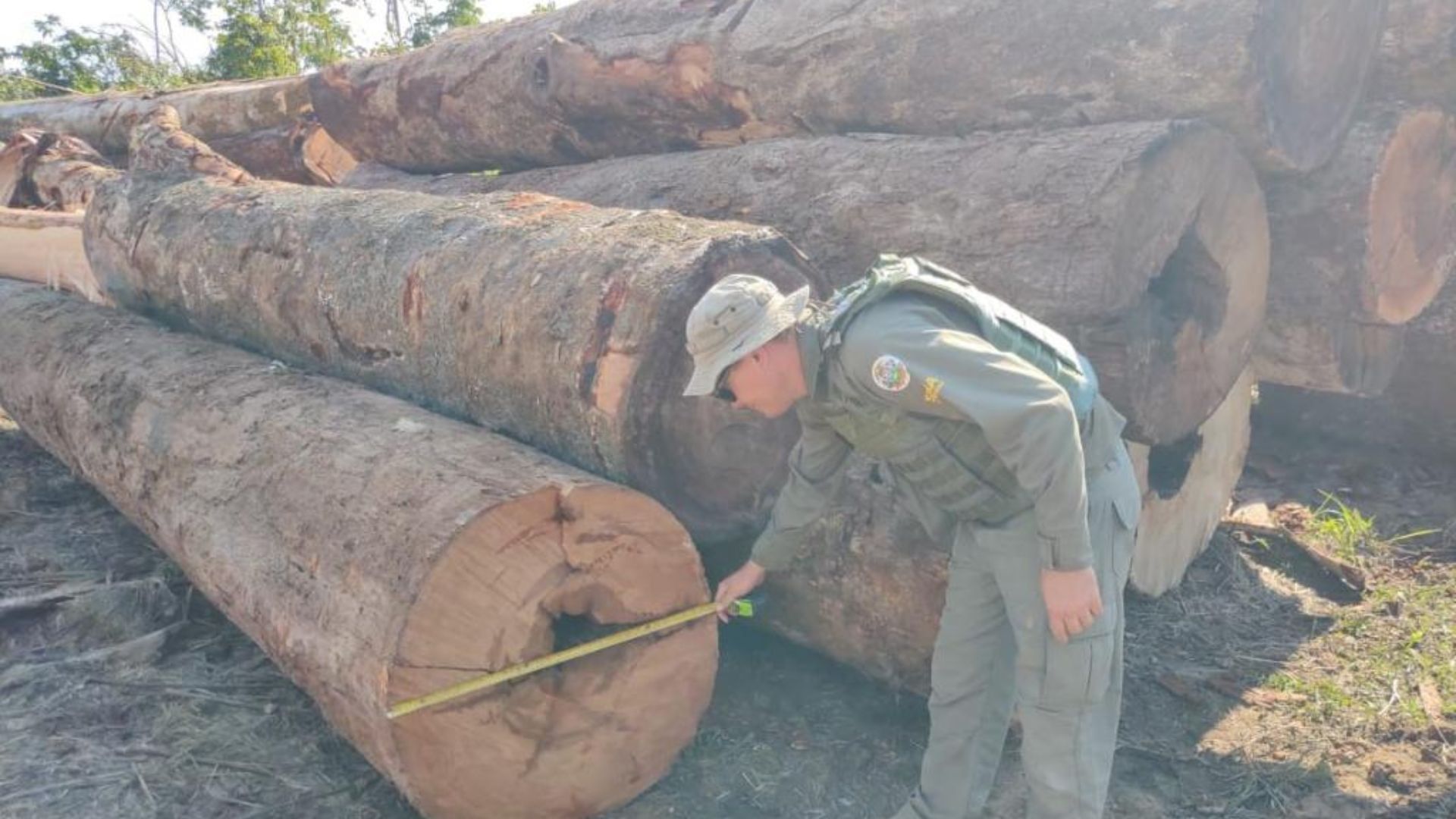 imagem sem descrição.
