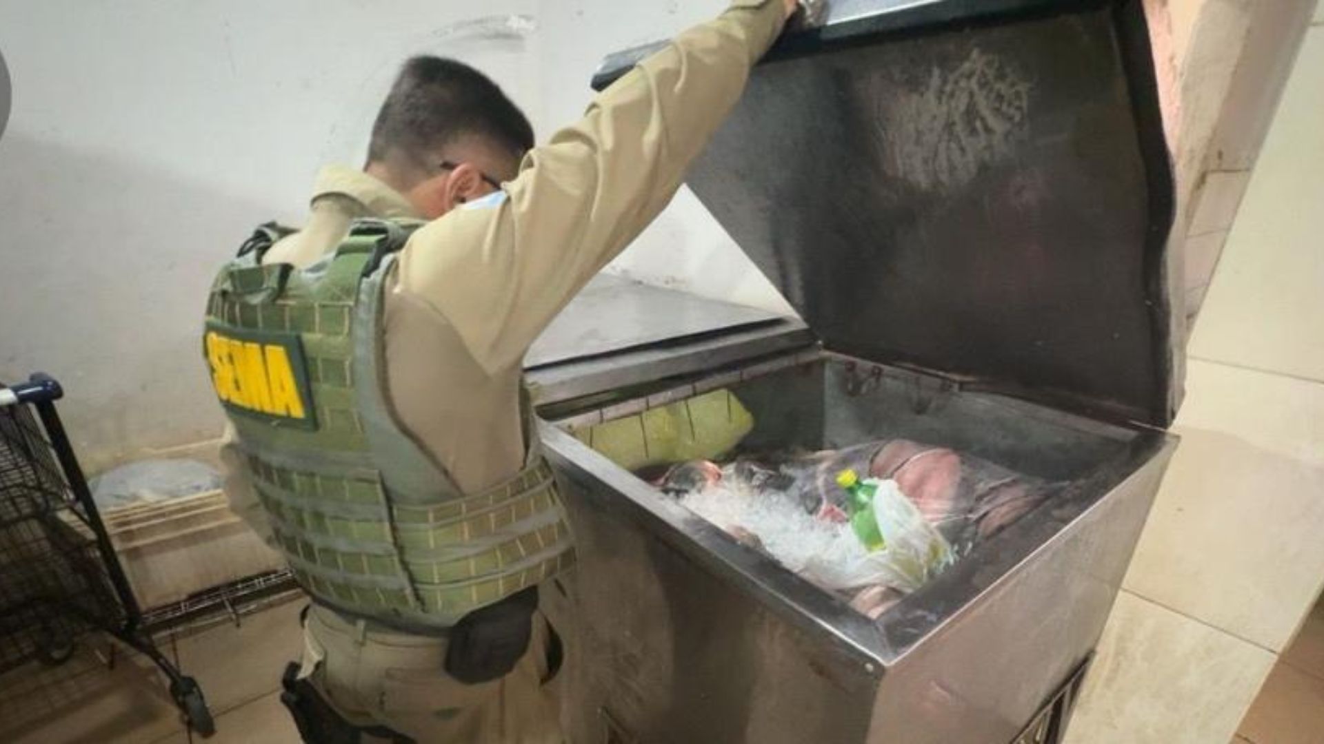 imagem sem descrição.