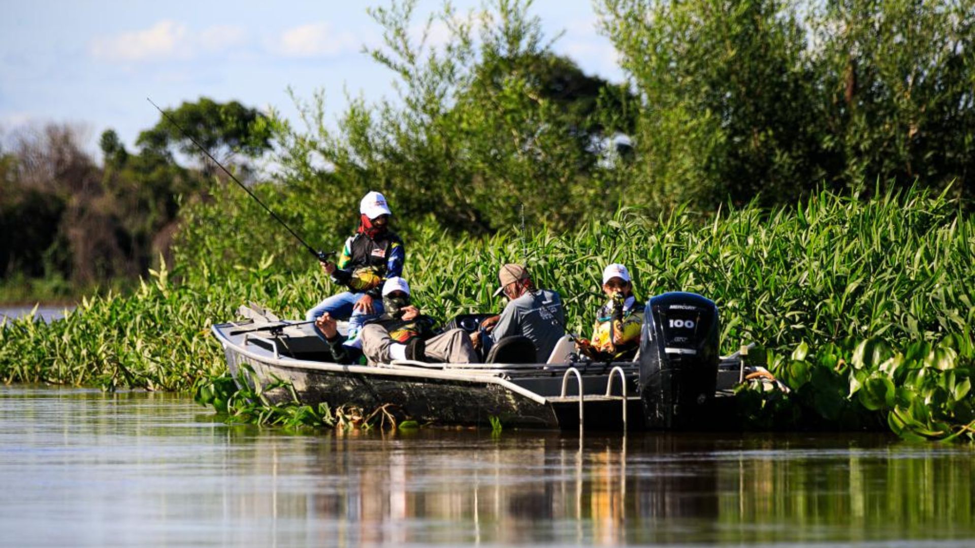 imagem sem descrição.