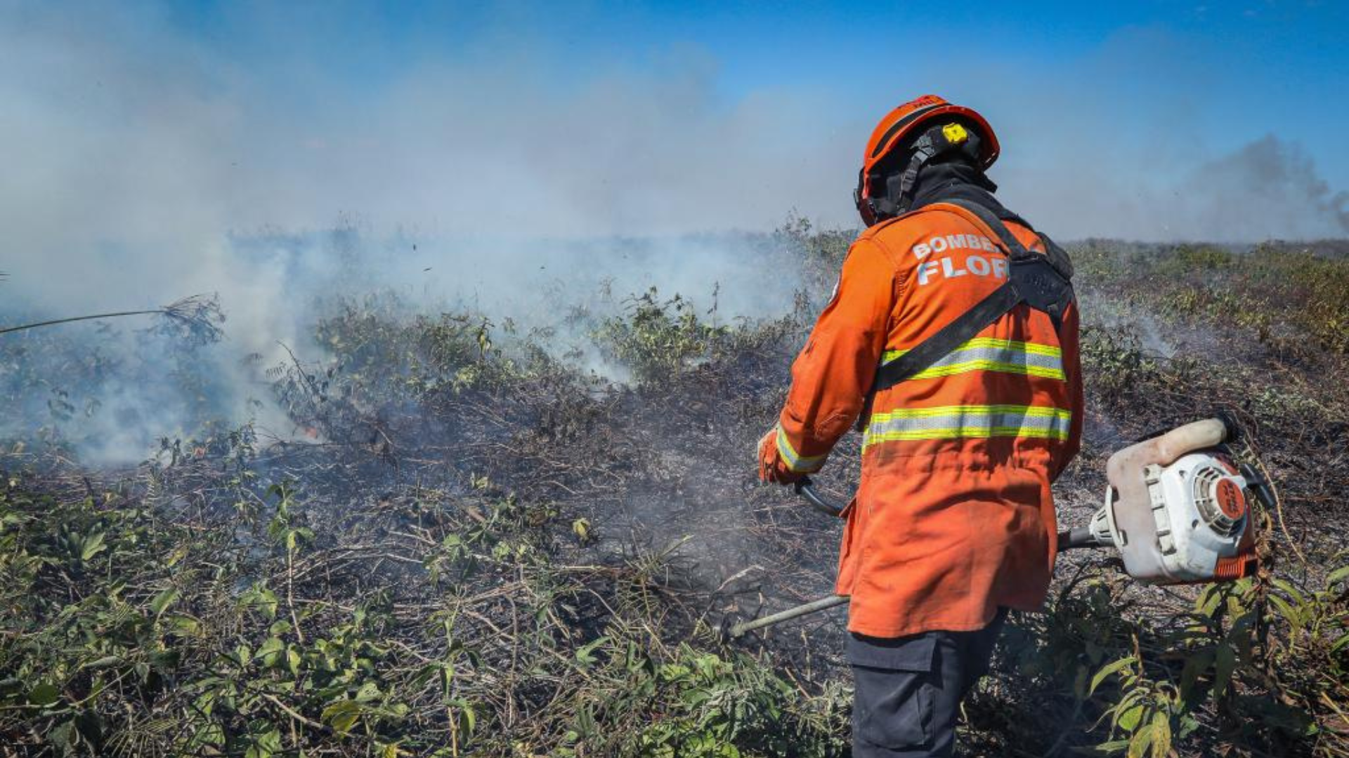 Sema prioriza queima controlada para evitar incêndios de grande porte