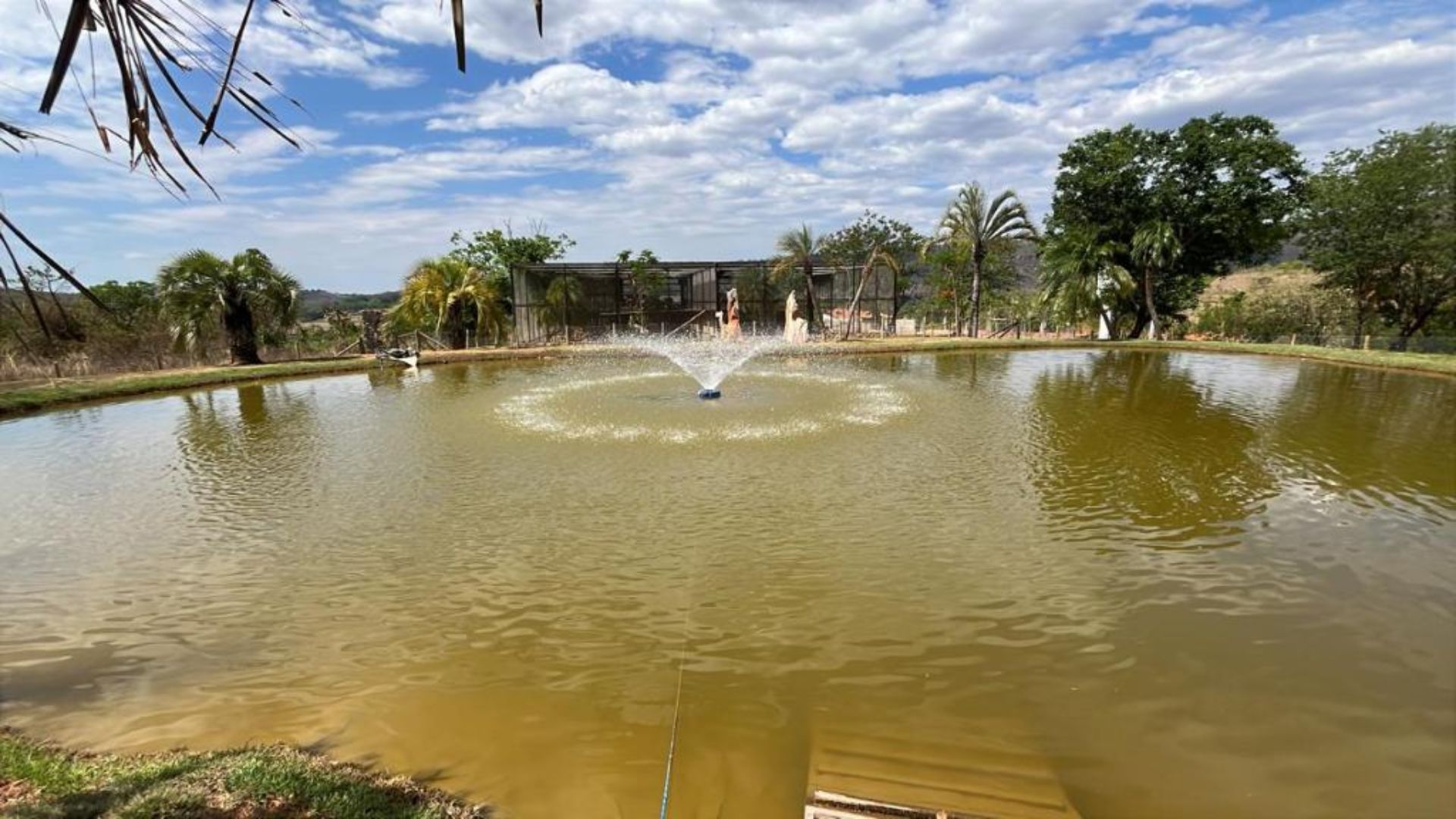 imagem sem descrição.