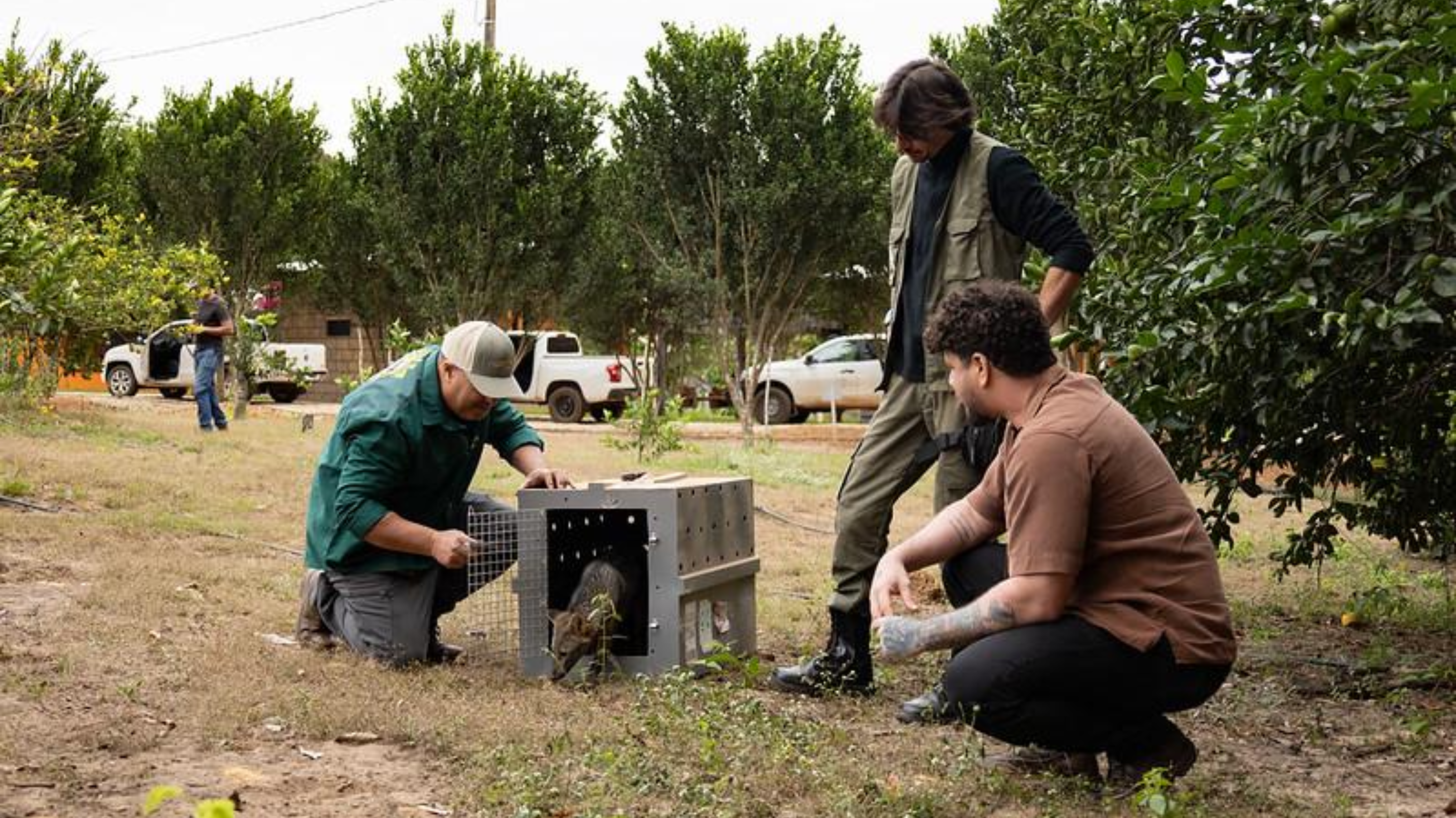 Sema realiza soltura de animais em reserva ecológica no município de São José do Rio Claro