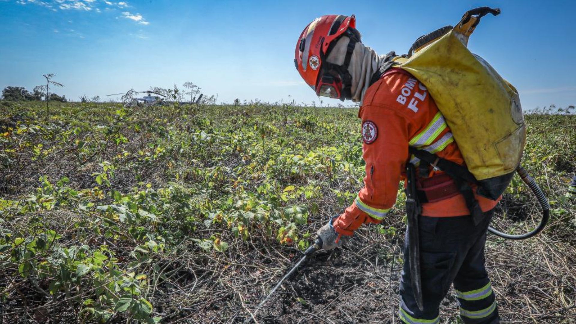imagem sem descrição.