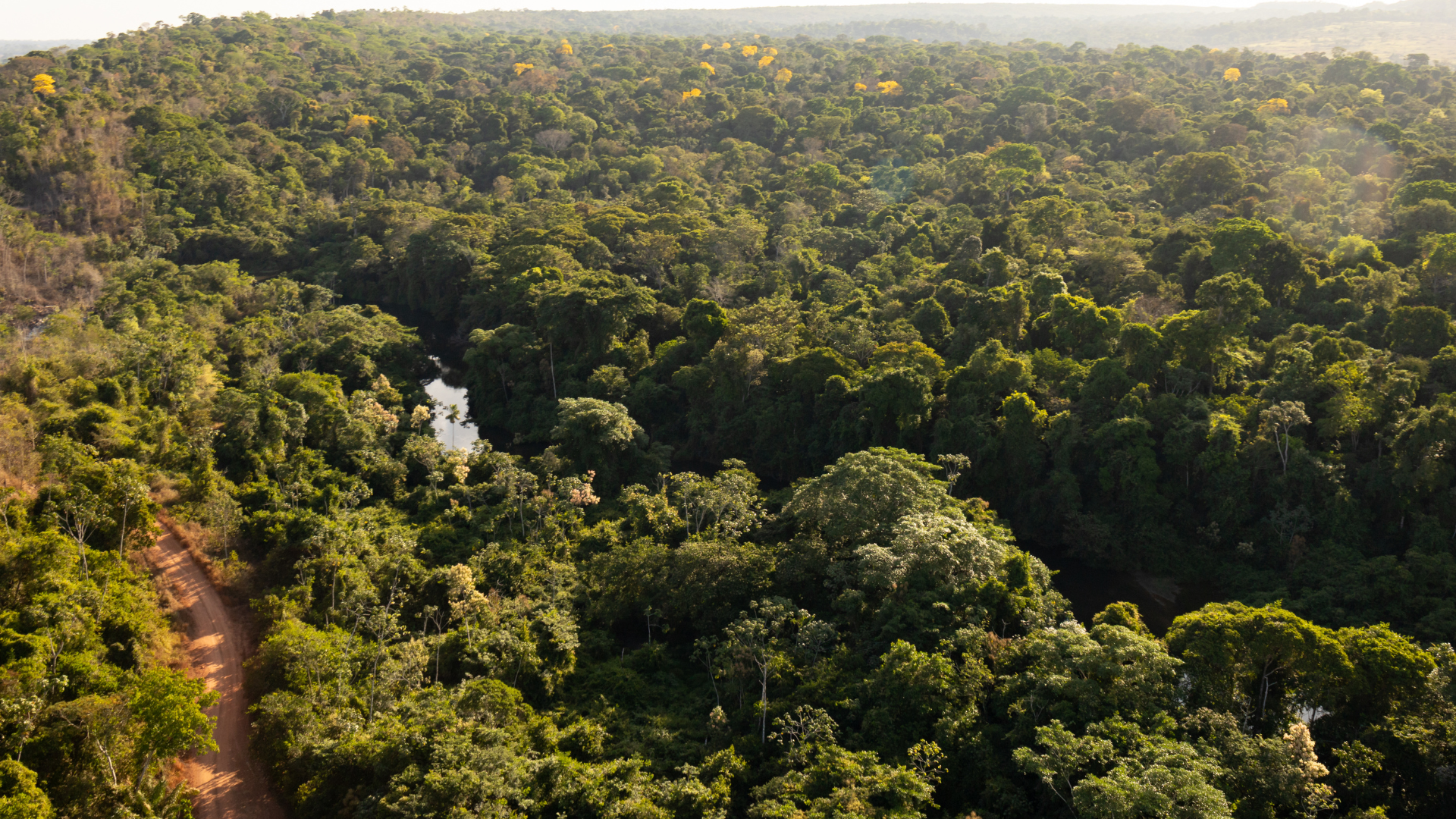 imagem sem descrição.