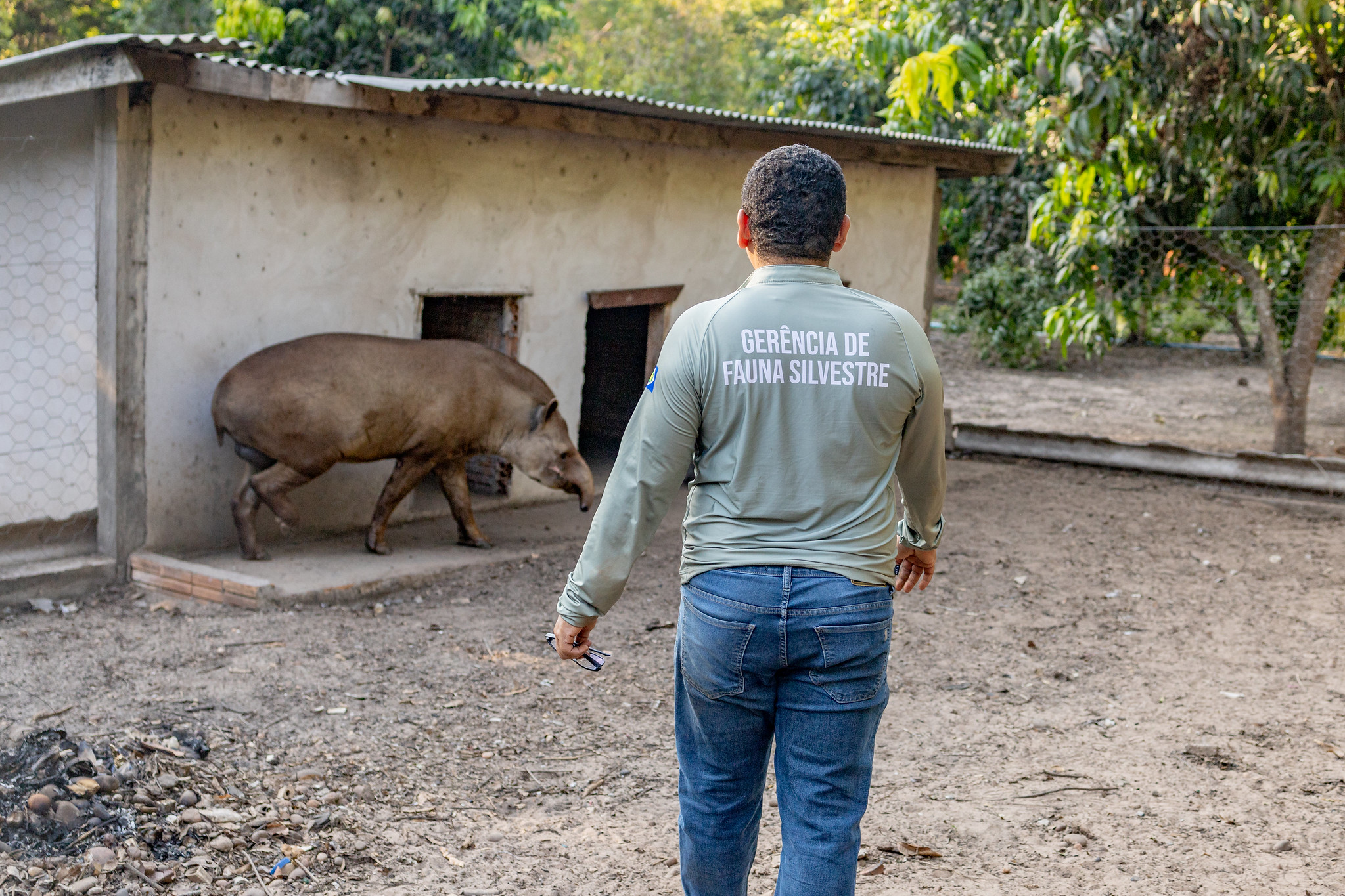 Os animais sofreram graves lesões na cabeça, passaram por tratamento e agora vivem juntos em São José do Rio Claro