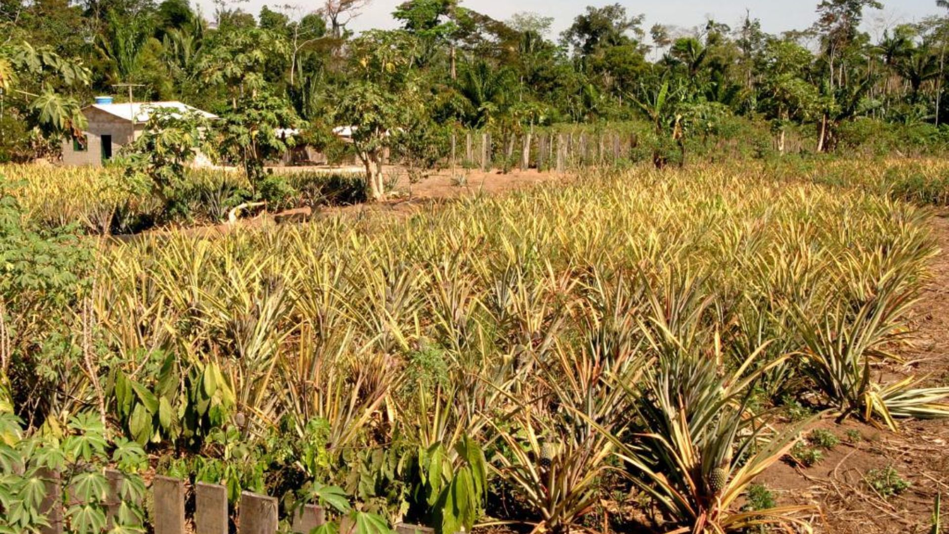 Sema promove reuniões para orientar pequenos produtores sobre regularização ambiental nos assentamentos