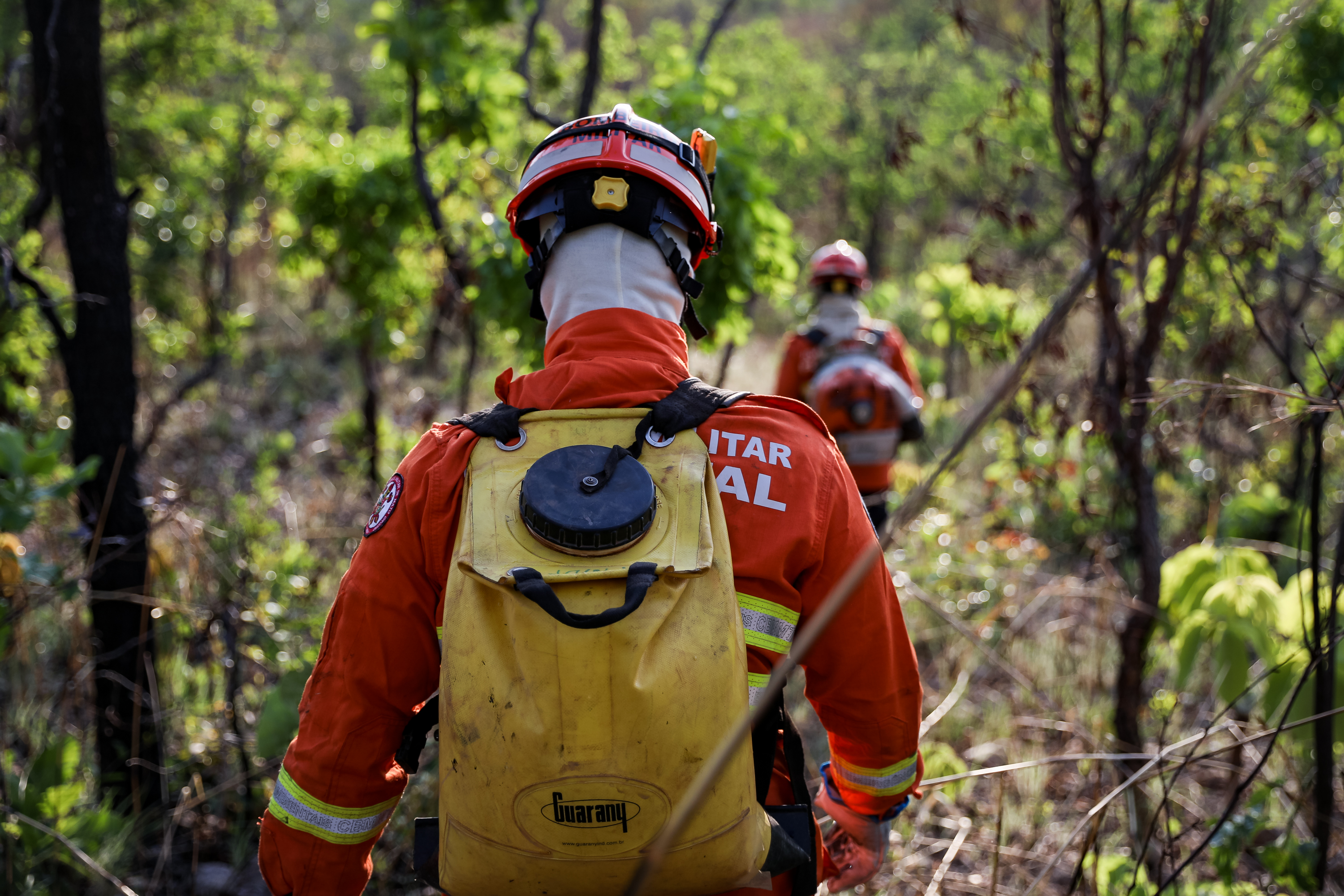 Governo de MT proíbe uso do fogo para limpeza e manejo de áreas no Pantanal até 31 de dezembro