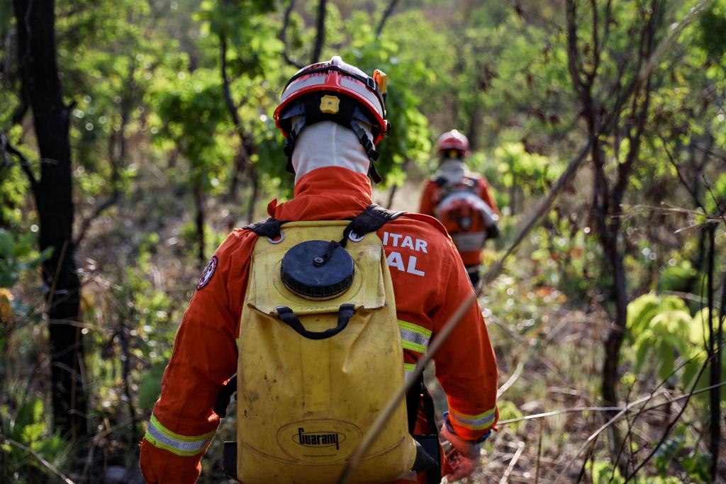 Corpo de Bombeiros detecta apenas um foco de calor no Pantanal mato-grossense