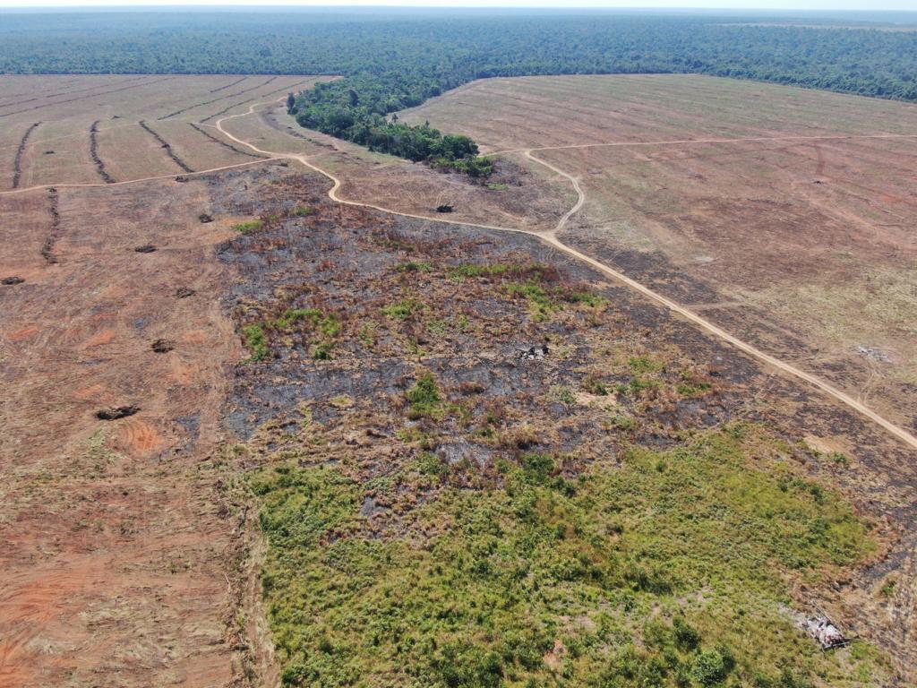 Operação ambiental multa fazenda em R$ 2 milhões por reincidência no desmate ilegal e uso do fogo