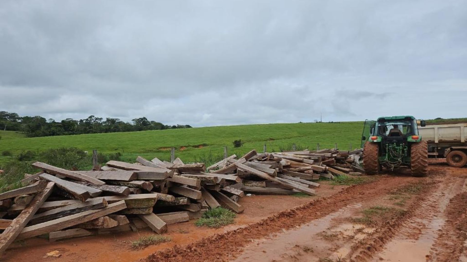 Unidade Desconcentrada da Sema de Alta Floresta apreende 1,5 mil lascas de itaúba sem licença ambiental em Nova Monte Verde
