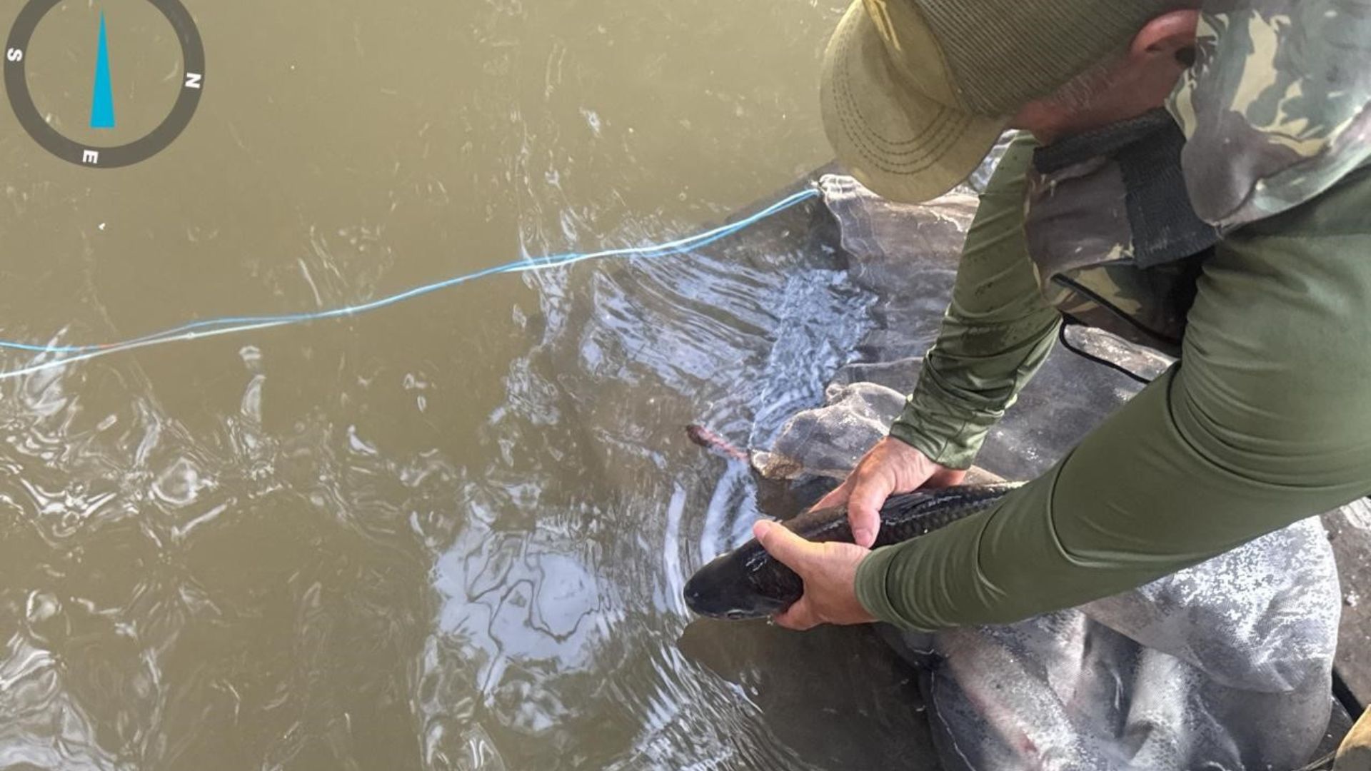Sema apreende 47 kg de pescado irregular no primeiro mês do defeso da piracema