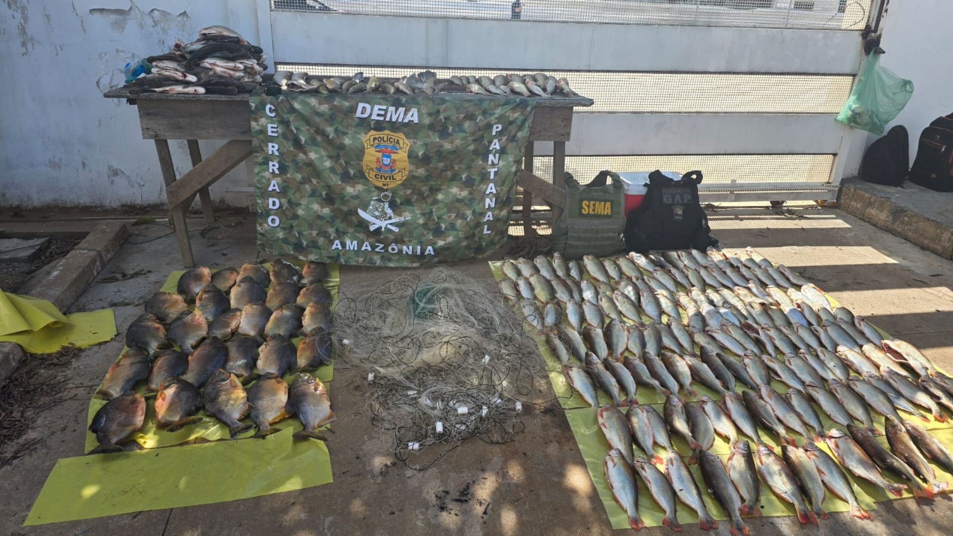 Ação integrada combate pesca predatória no rio Cuiabá