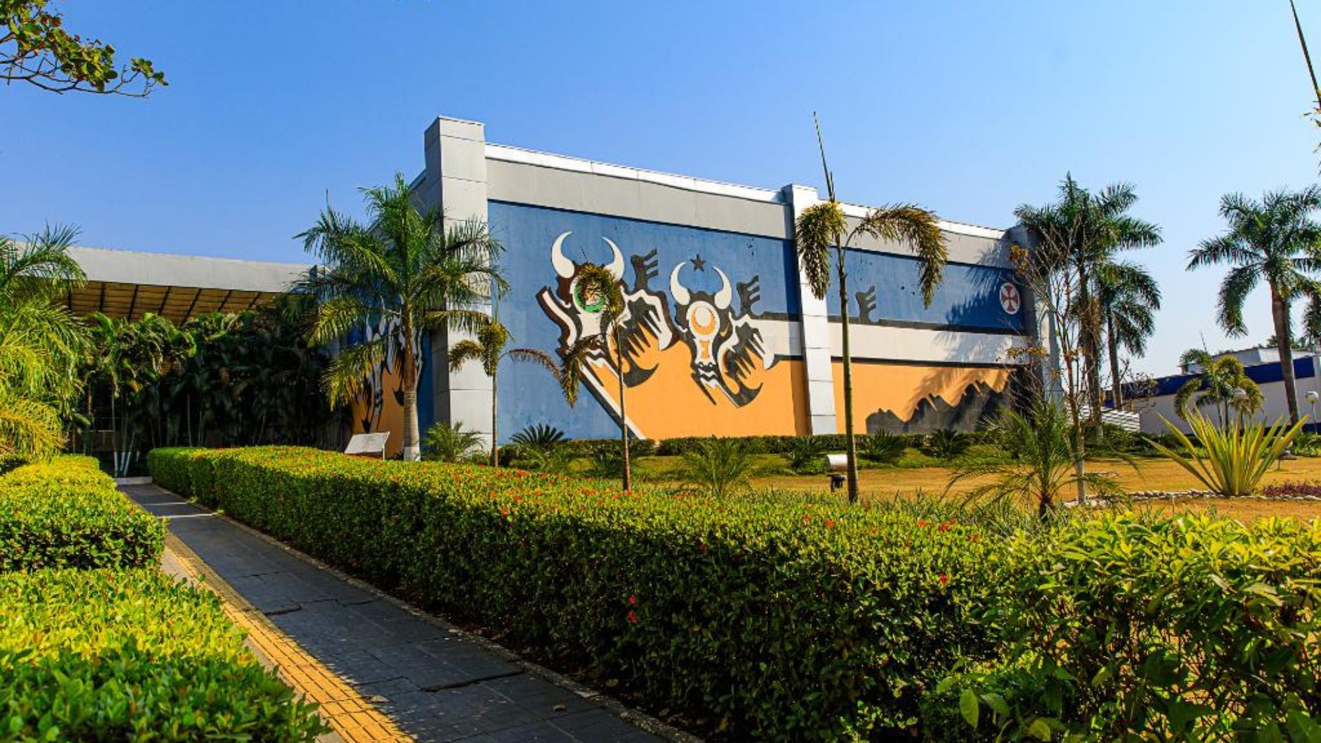 Governo de MT vai mostrar como aliar produção de alimentos e preservação ambiental na COP 30