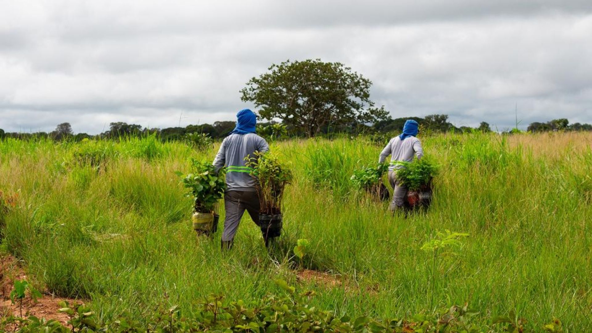 Sema e parceiros lançam segundo lote do Programa Todos pelo Araguaia nesta quinta-feira (23)