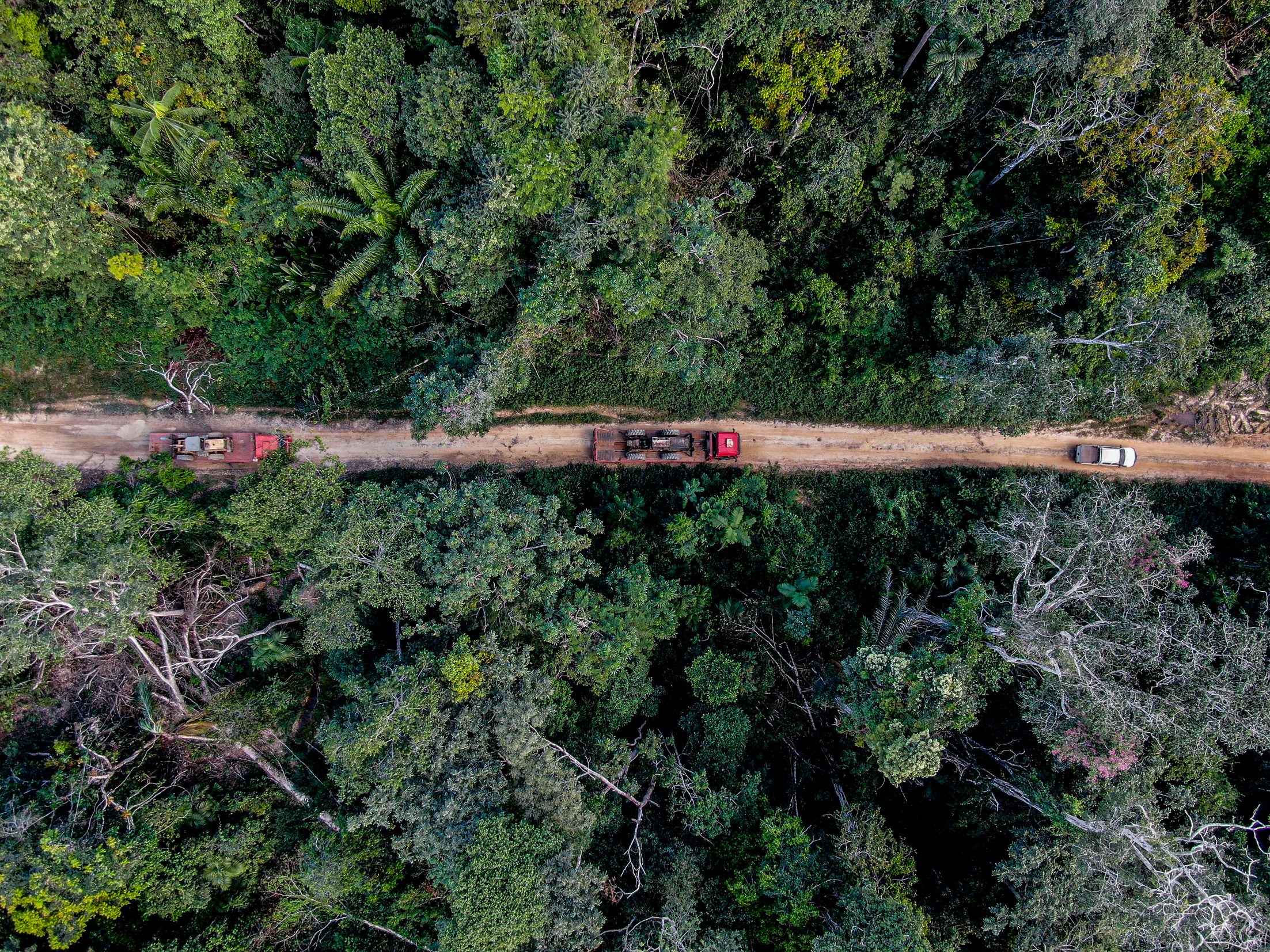 Governo de MT investe em tecnologia, contratações e aeronaves para enfrentar incêndios e desmatamento