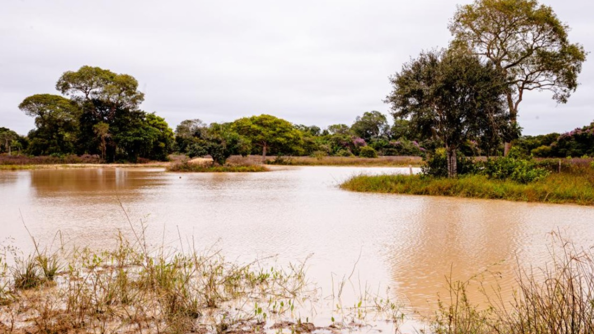 imagem sem descrição.