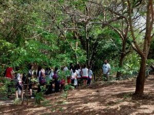 A trilha interpretativa para conhecer as espécies nativas presentes no parque estadual, que é uma unidade de conservação