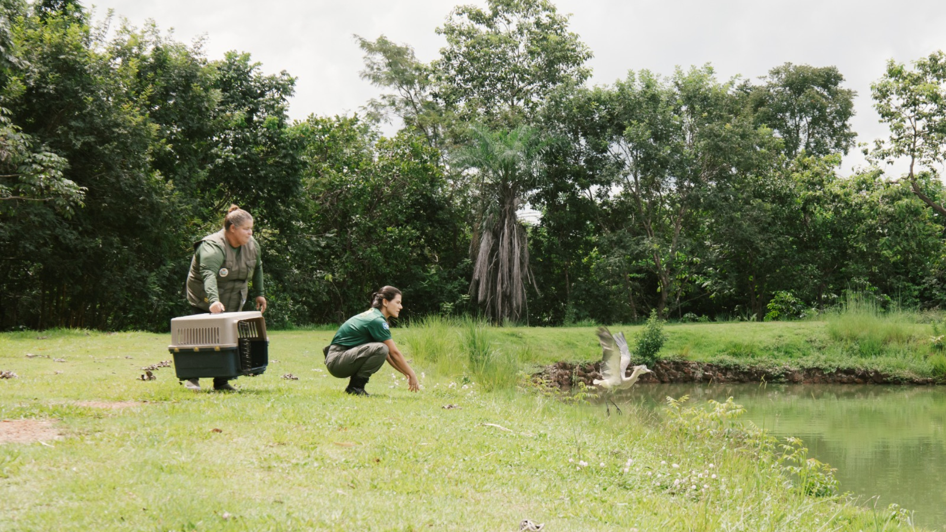 imagem sem descrição.