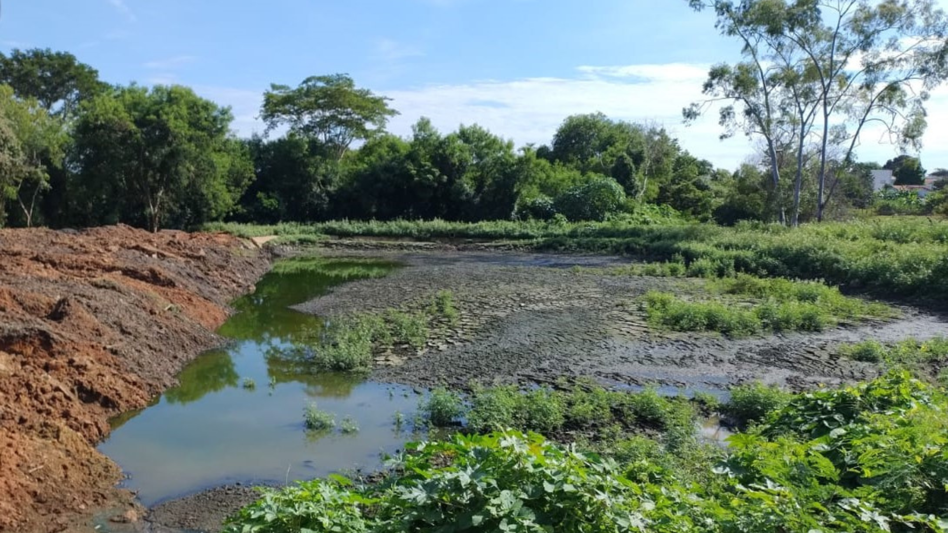 imagem sem descrição.