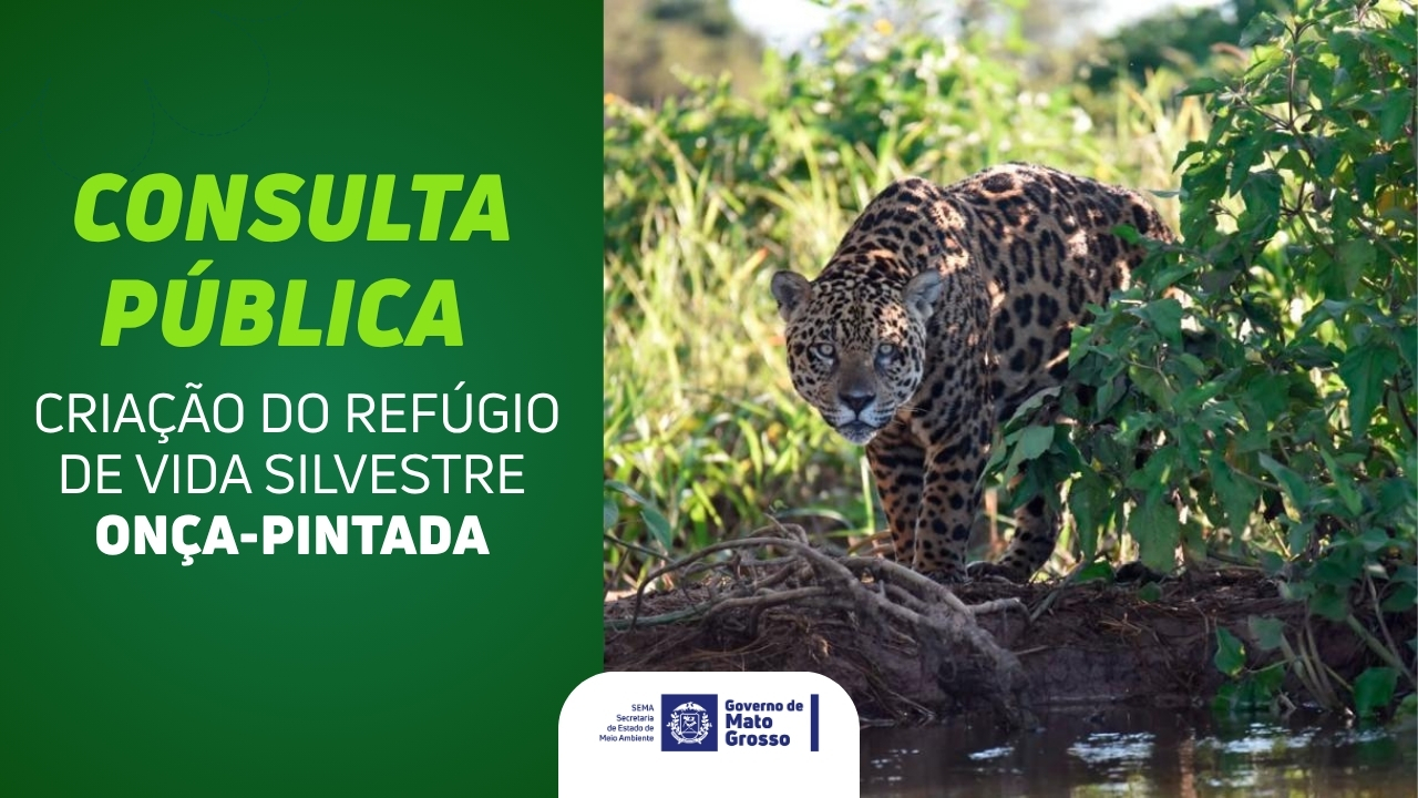 CONSULTA PÚBLICA: CRIAÇÃO DO REFÚGIO DE VIDA SILVESTRE ONÇA-PINTADA