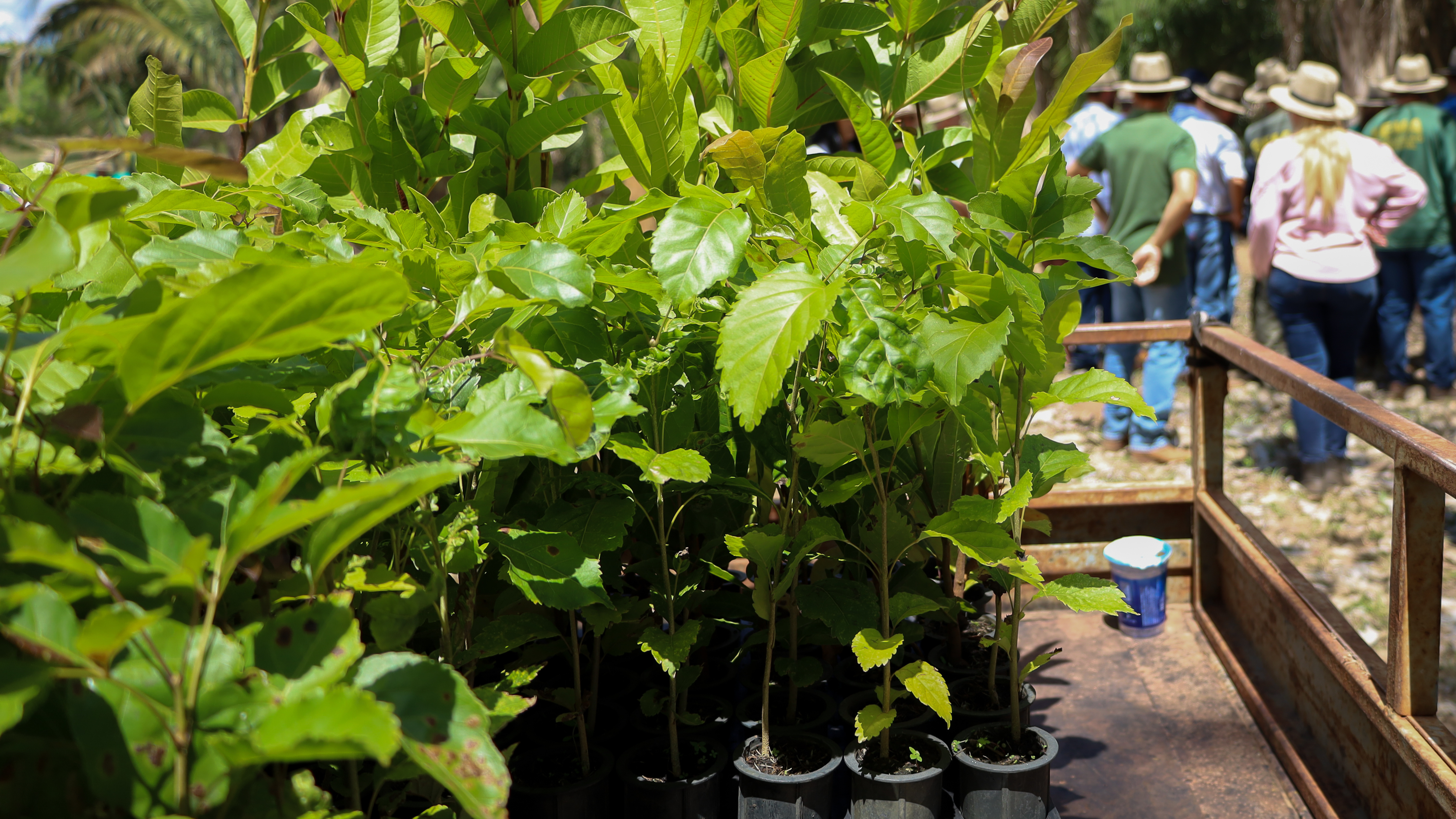 Programa Todos pelo Araguaia é finalista em prêmio internacional de sustentabilidade
